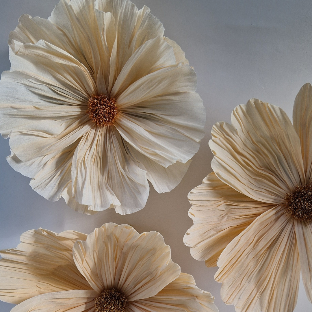 Vægblomst creme - mellem