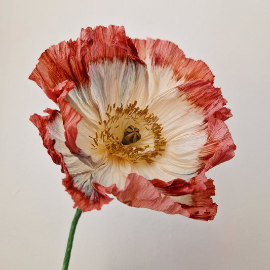 Valmue - kobberfarve