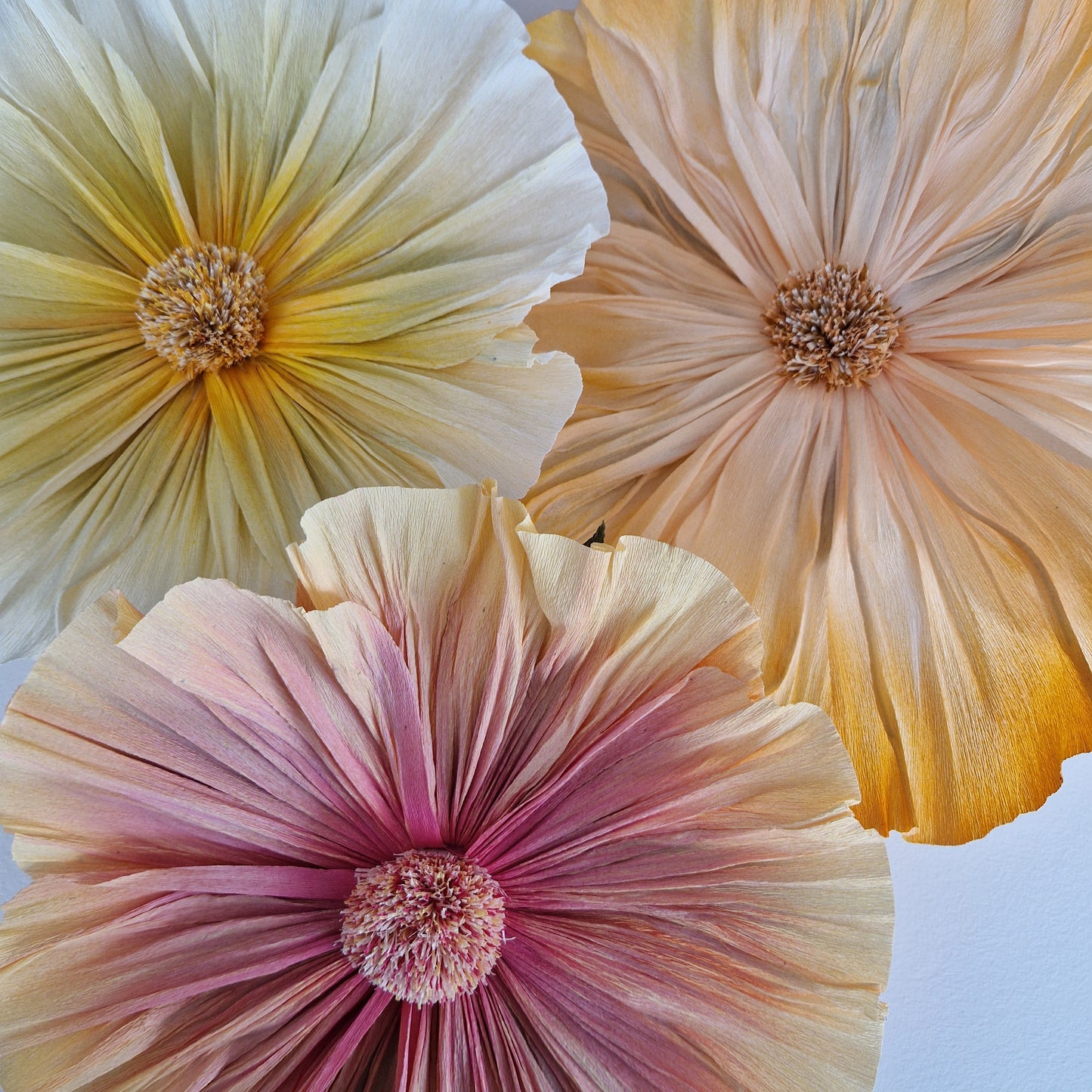 Vægblomst - creme/gul