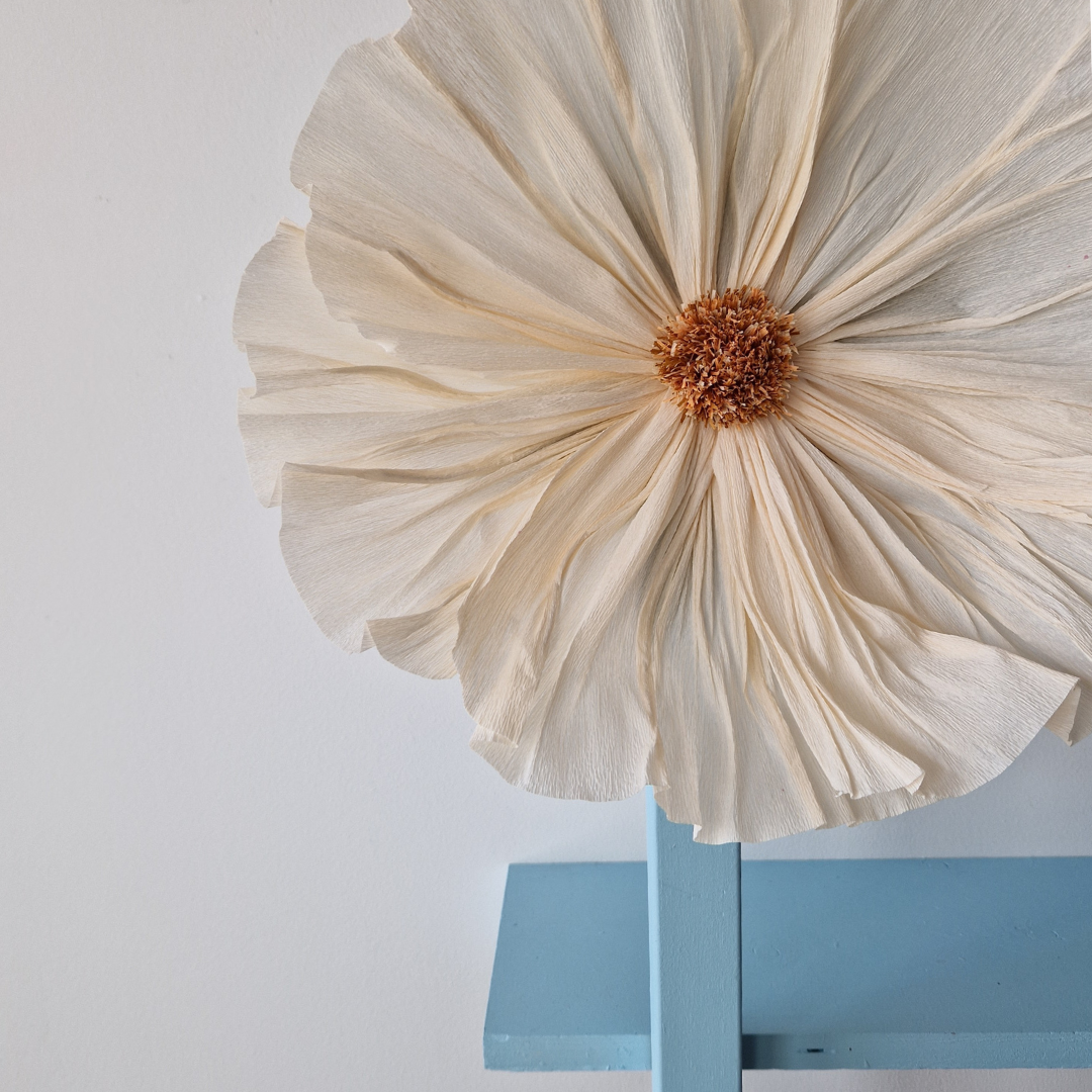 Vægblomst creme - mellem