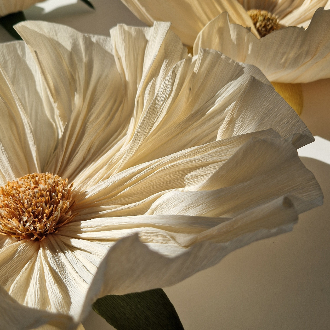 Vægblomst creme - mellem