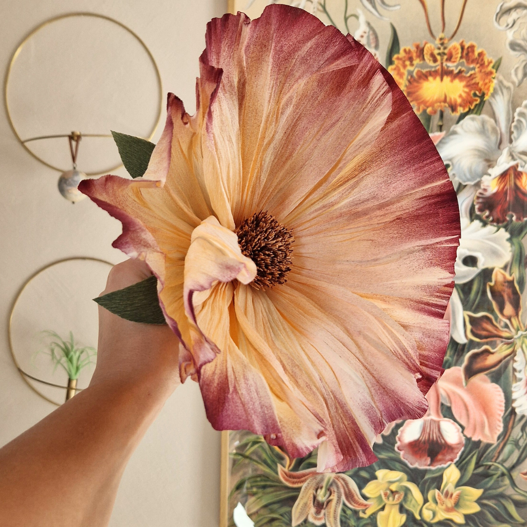 Vægblomst - fersken / bordeaux